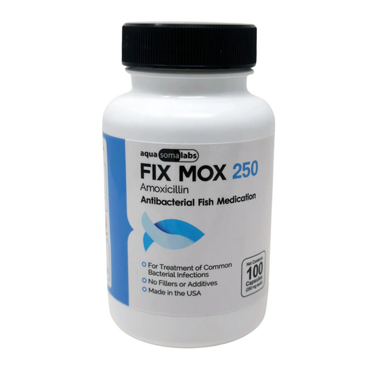 Aqua mox amoxicillin - 250mg 100 Capsules